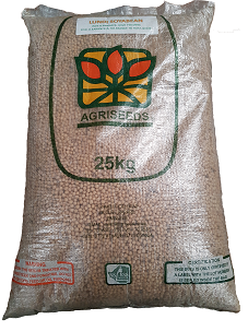 SOYABEAN LUNDI
